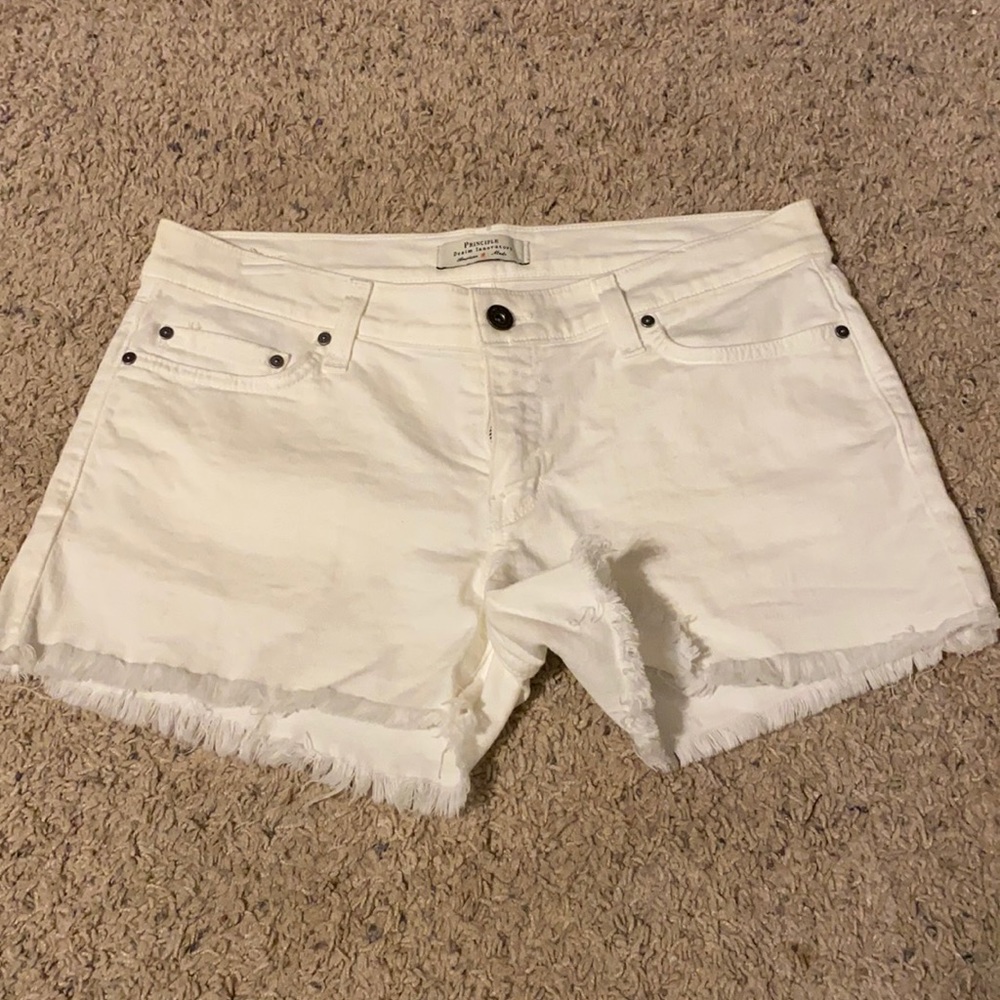 “The Wanderer” principle shorts